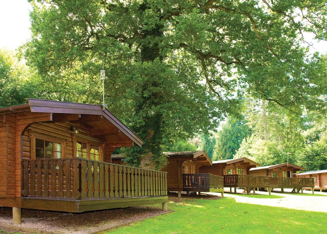 Готель Whitemead Forest Park Parkend Екстер'єр фото