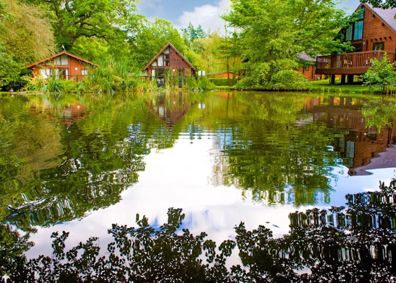 Готель Whitemead Forest Park Parkend Екстер'єр фото